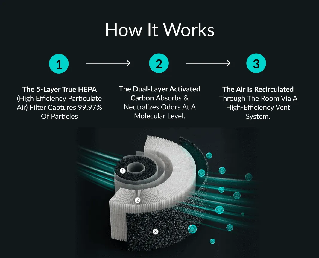 The Zynco Pet Air Purifier™