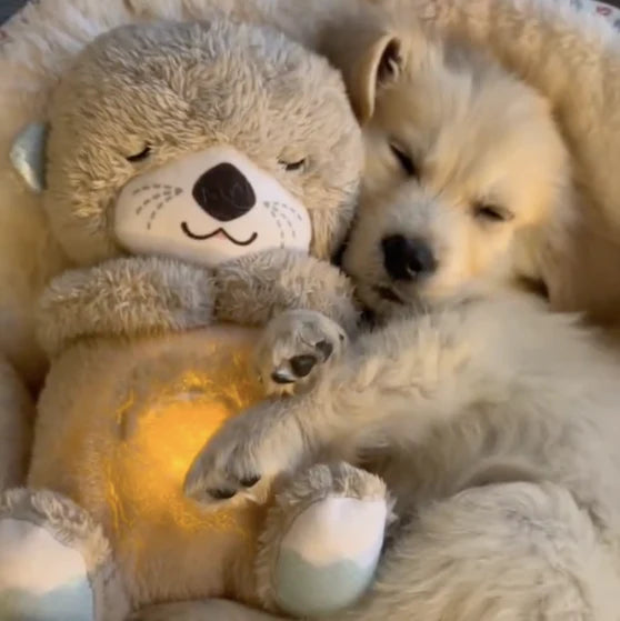 Calming Otter Plush | Instant Relief for Pups and Kittens from Stress &amp; Anxiety