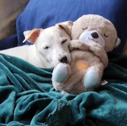 Calming Otter Plush | Instant Relief for Pups and Kittens from Stress &amp; Anxiety