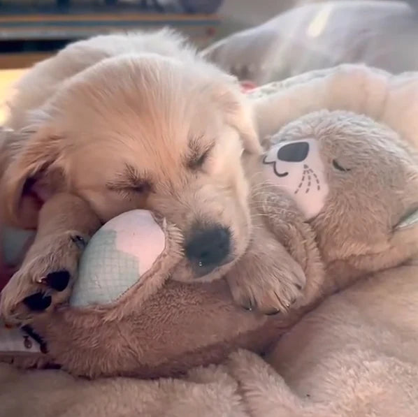 Calming Otter Plush | Instant Relief for Pups and Kittens from Stress &amp; Anxiety