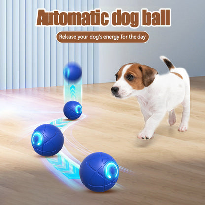 Zynco™ Pet Bounce Interactive Ball