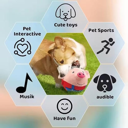 Zynco™ Interactive Bouncing Piggy Toy