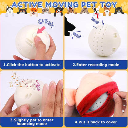 Zynco™ Interactive Bouncing Piggy Toy