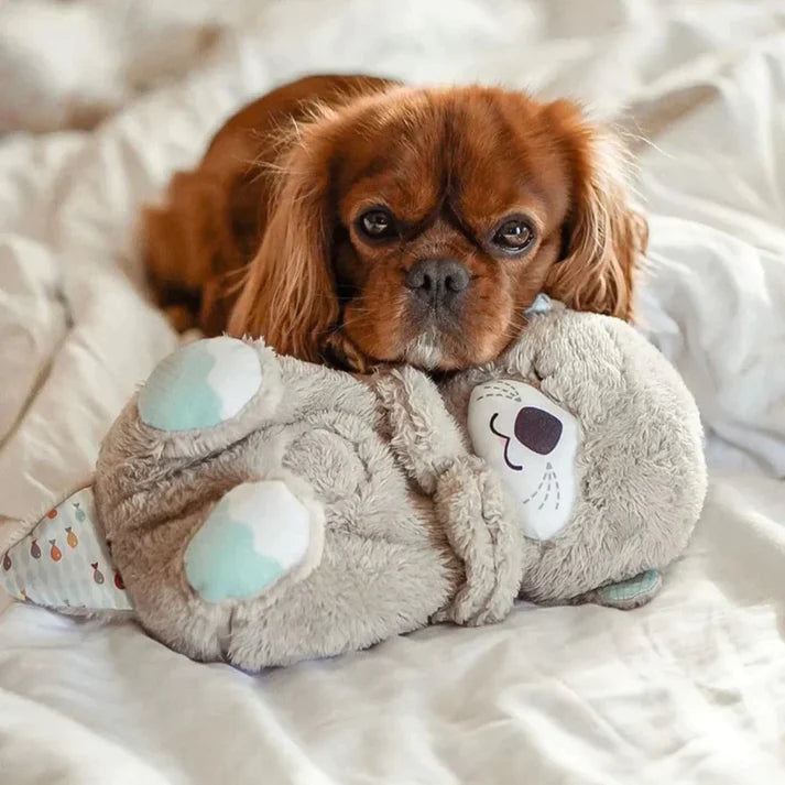 Calming Otter Plush | Instant Relief for Pups and Kittens from Stress &amp; Anxiety