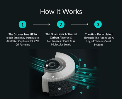 The Zynco Pet Air Purifier™